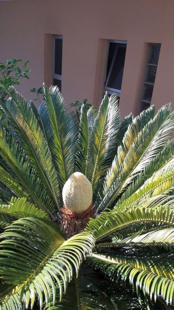 Albergo Larenzia كاتوليكا المظهر الخارجي الصورة